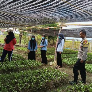 Bhabinkamtibmas Desa Sidorejo Fasilitasi KWT Sukma Jalin Kerja Sama Pemasaran Sayuran dengan SPPG
